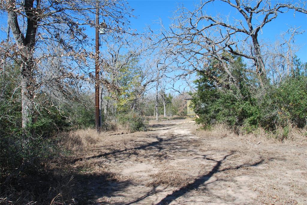 596 County Road 429, Waelder, Texas image 17