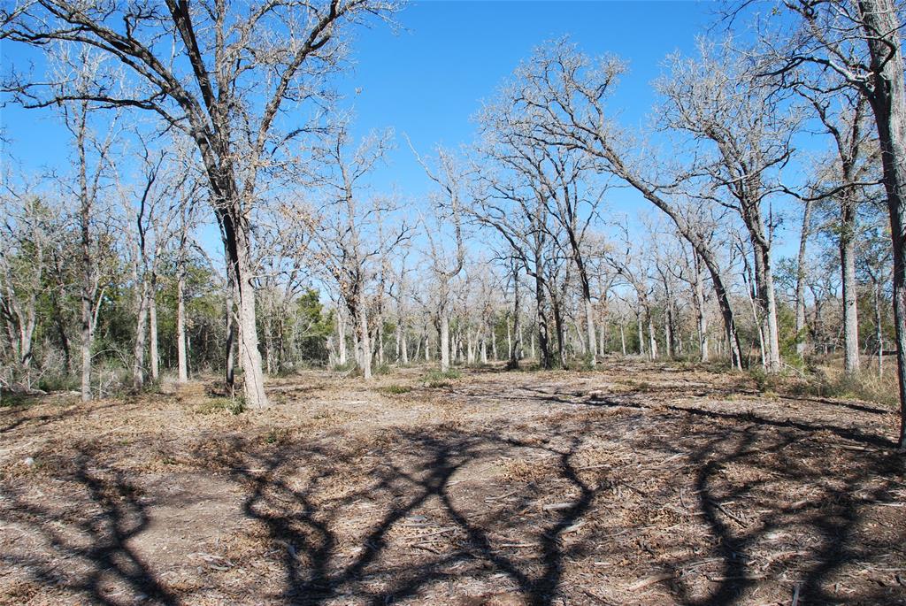 596 County Road 429, Waelder, Texas image 22