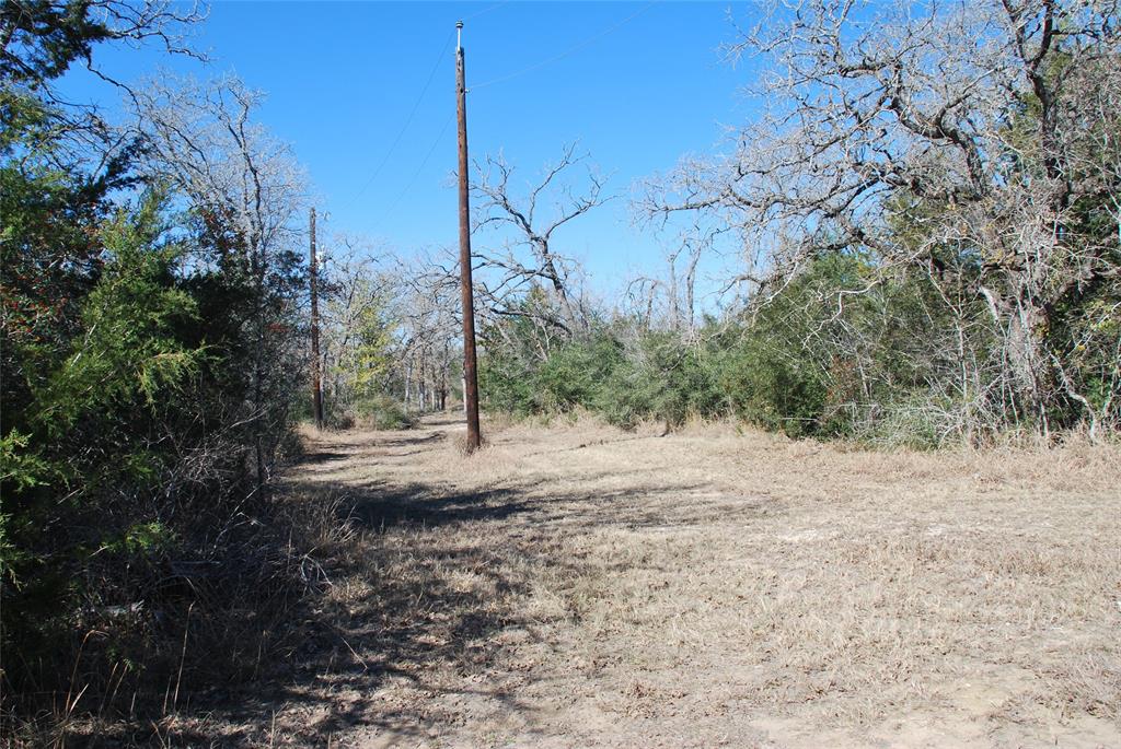 596 County Road 429, Waelder, Texas image 4