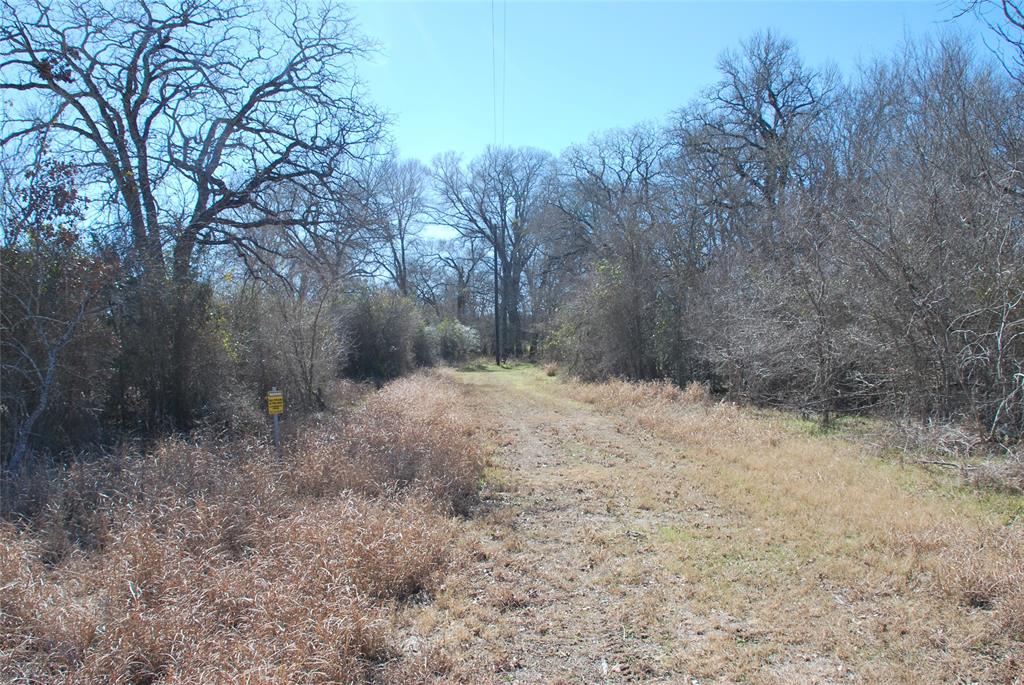 596 County Road 429, Waelder, Texas image 15