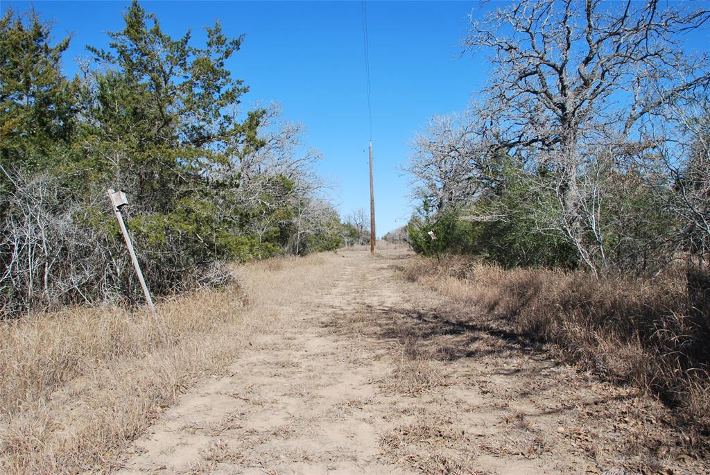 596 County Road 429, Waelder, Texas image 25