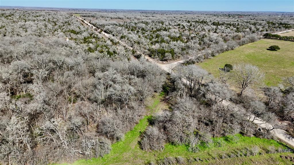 596 County Road 429, Waelder, Texas image 43