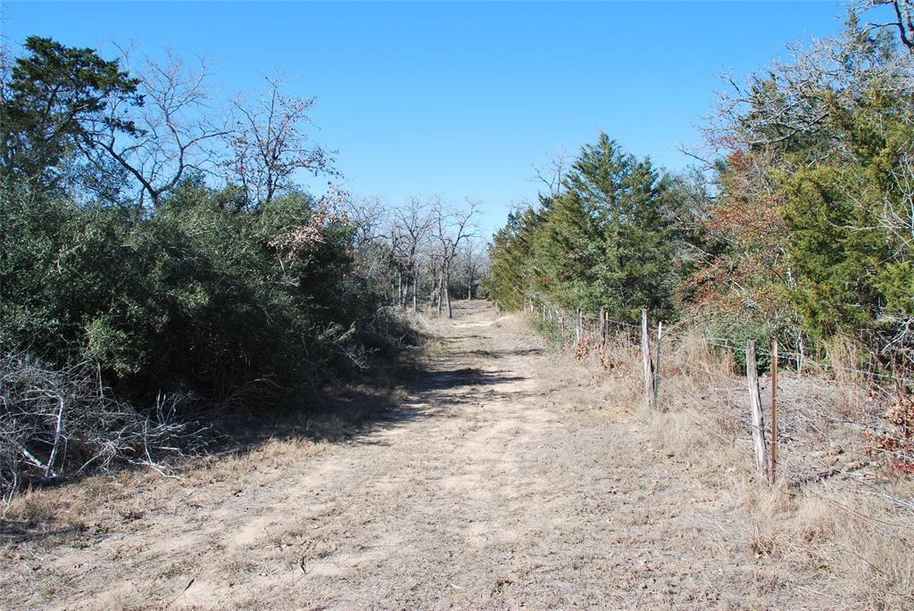 596 County Road 429, Waelder, Texas image 12