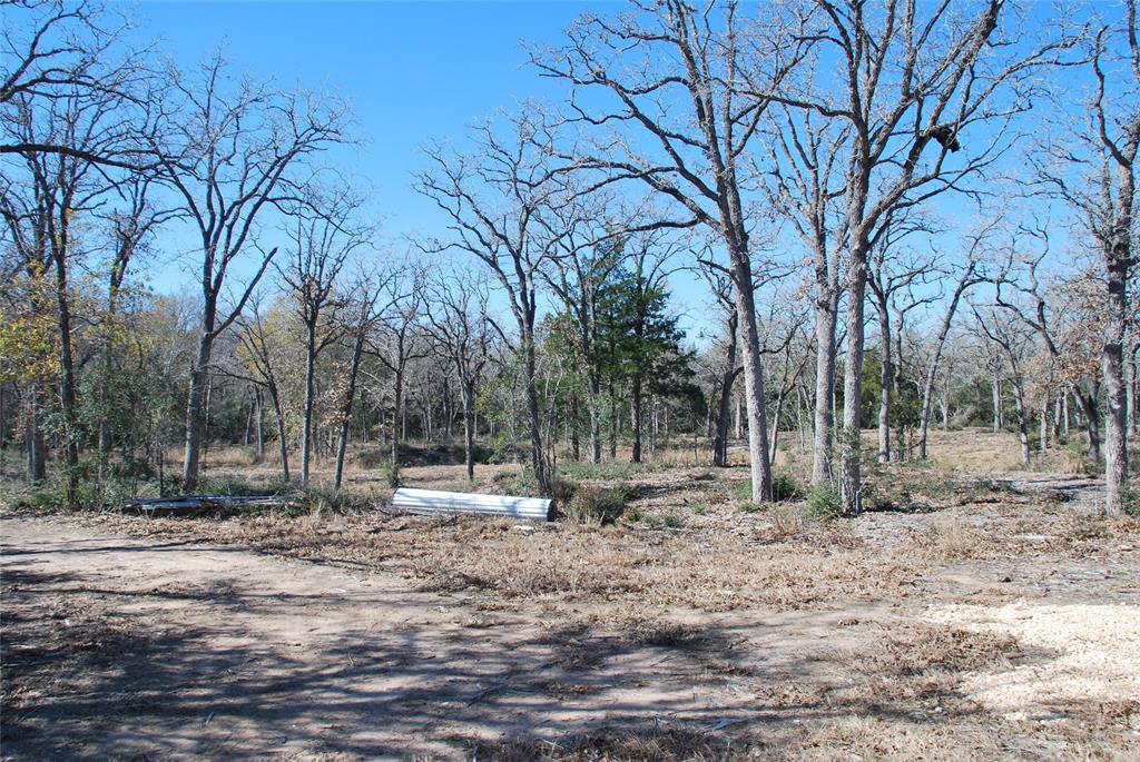 596 County Road 429, Waelder, Texas image 32