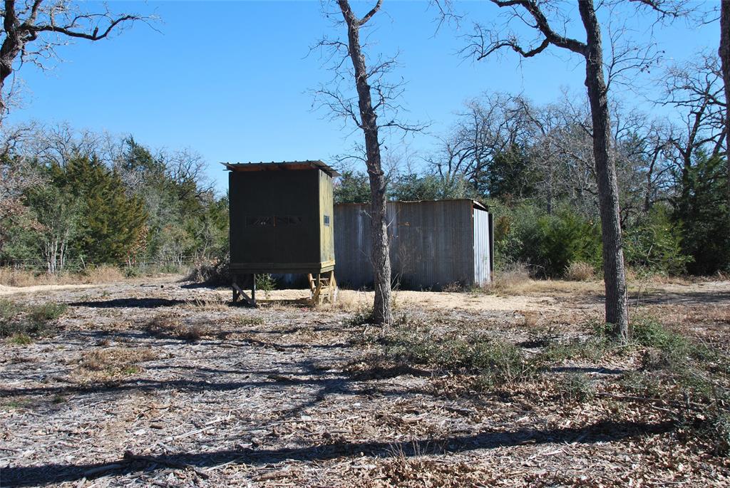 596 County Road 429, Waelder, Texas image 11