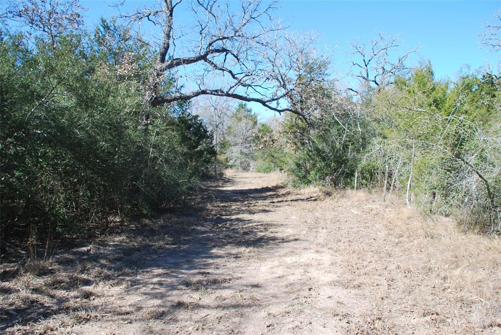 596 County Road 429, Waelder, Texas image 14