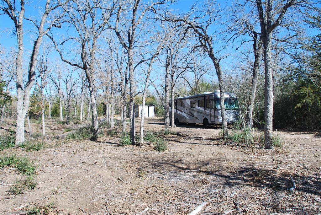 596 County Road 429, Waelder, Texas image 8