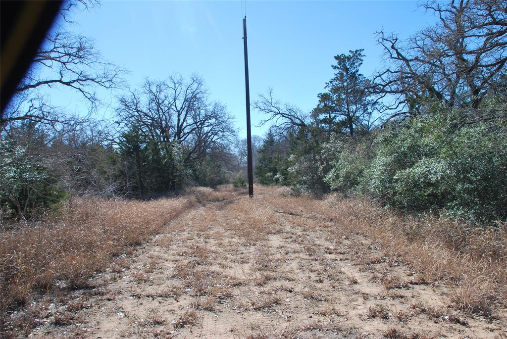 596 County Road 429, Waelder, Texas image 16