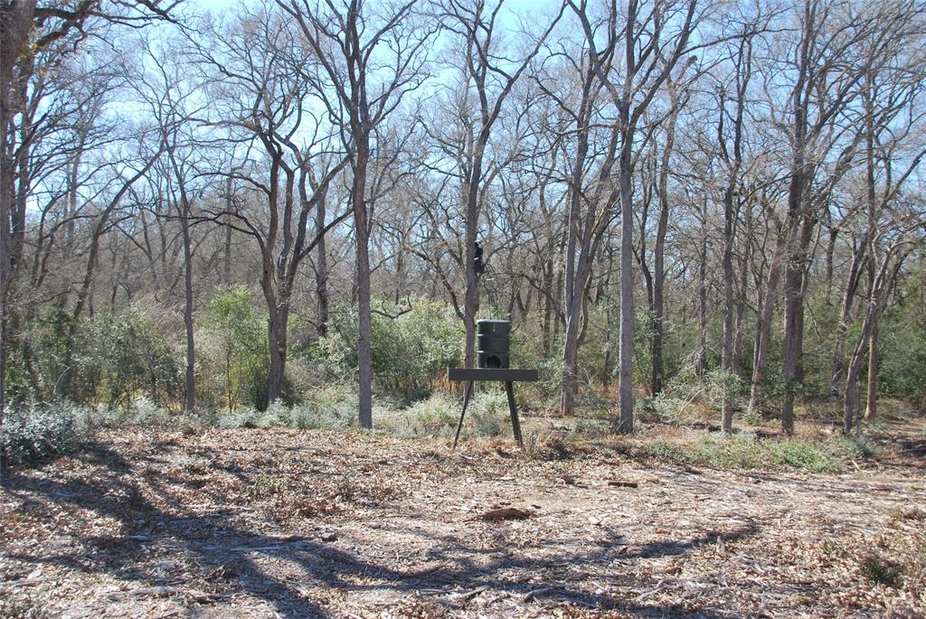 596 County Road 429, Waelder, Texas image 9