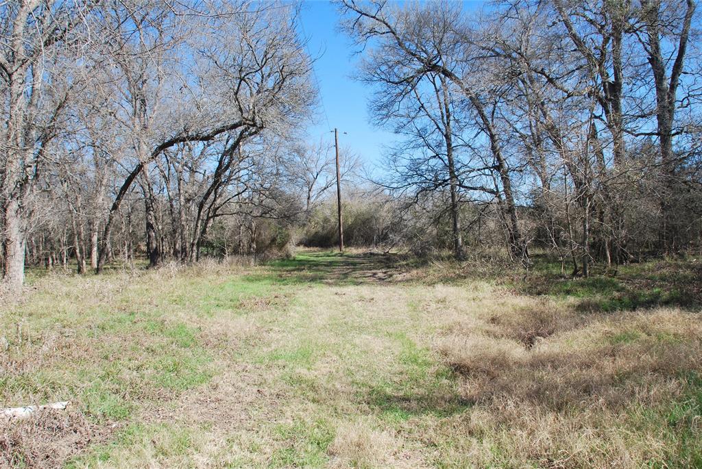 596 County Road 429, Waelder, Texas image 27