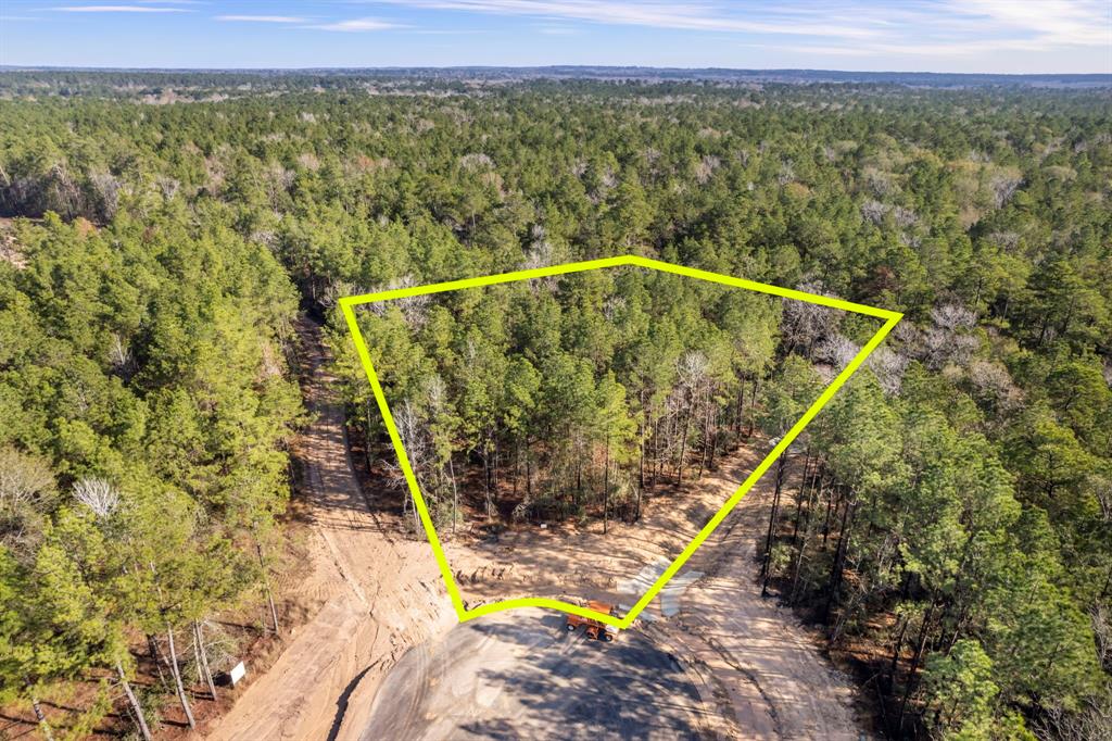 25100 Fort Davis Road, Montgomery, Texas image 1