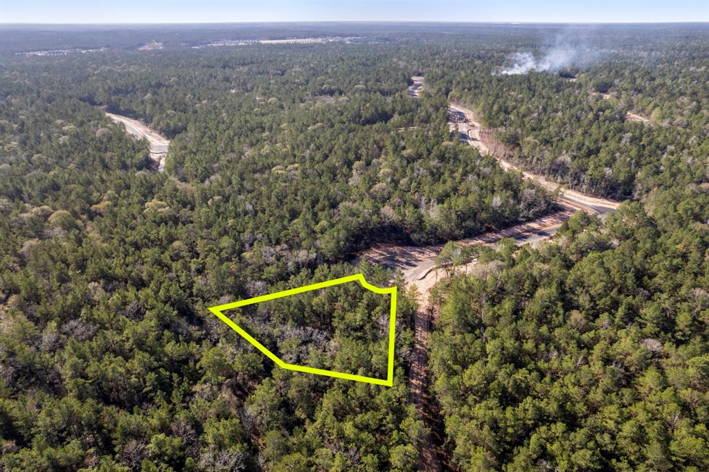 25100 Fort Davis Road, Montgomery, Texas image 10