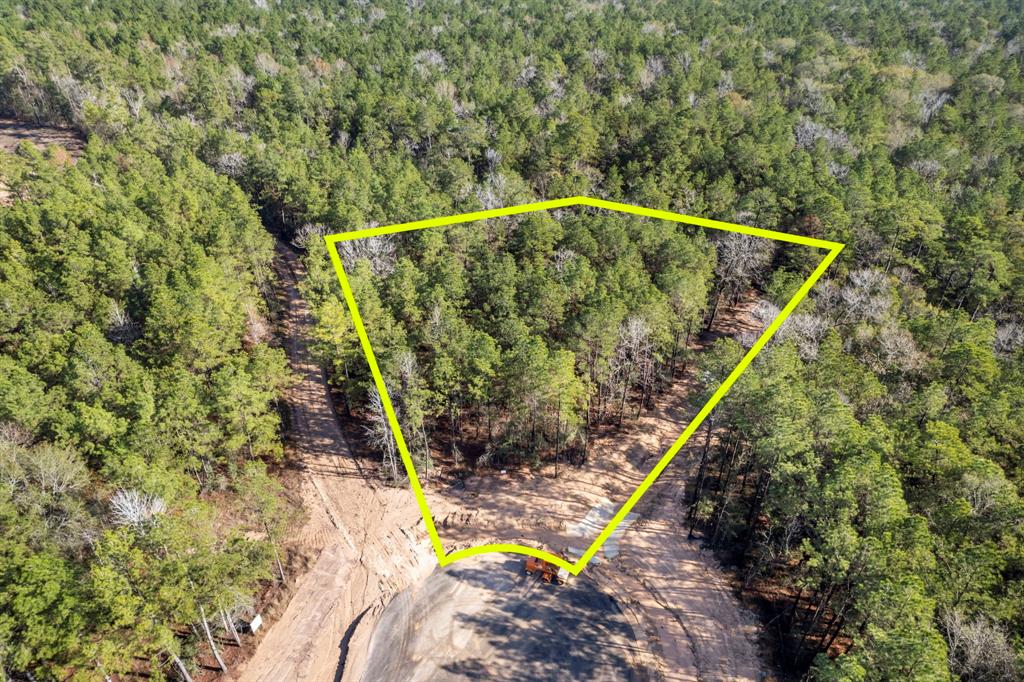 25100 Fort Davis Road, Montgomery, Texas image 5