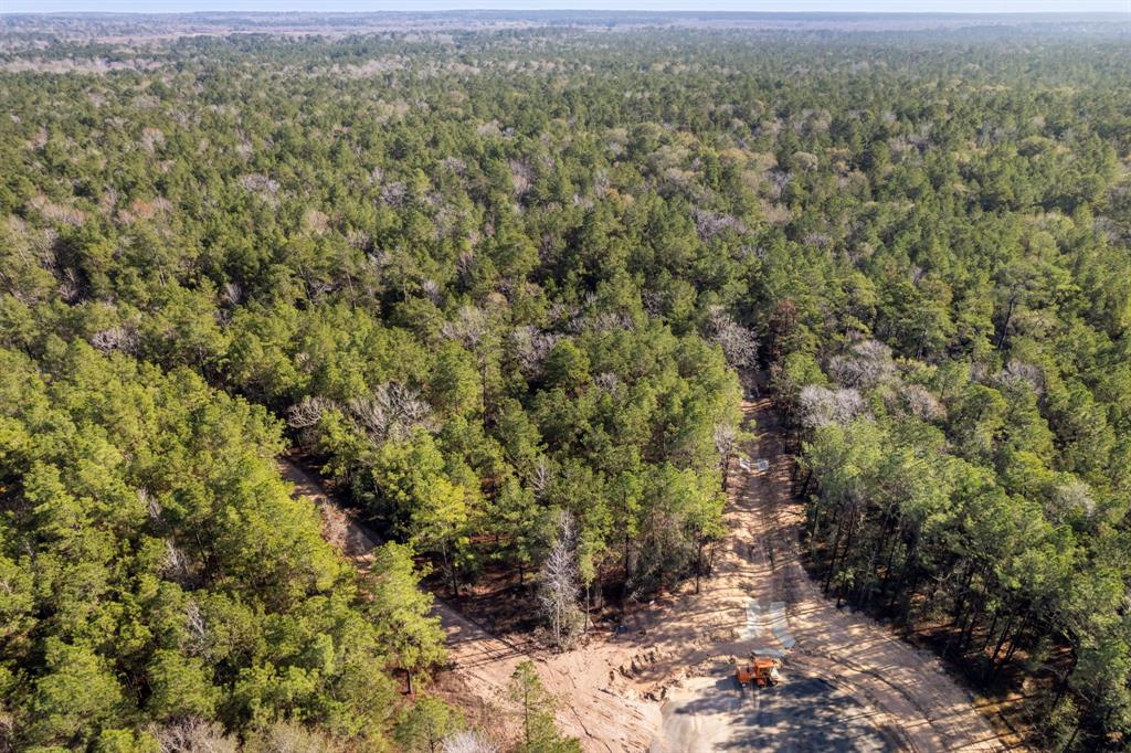 25100 Fort Davis Road, Montgomery, Texas image 15