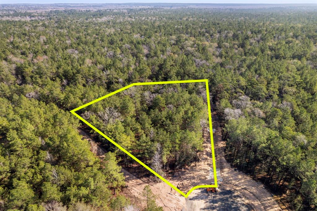 25100 Fort Davis Road, Montgomery, Texas image 14