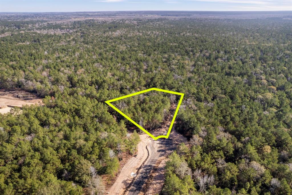 25100 Fort Davis Road, Montgomery, Texas image 2