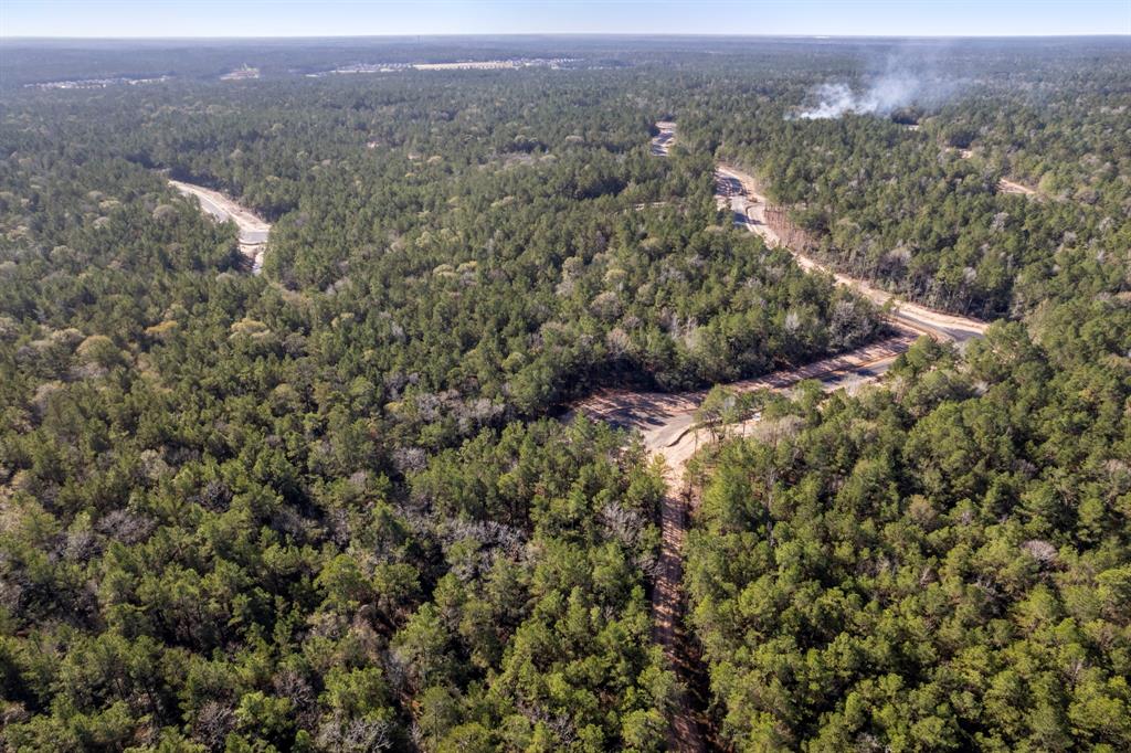 25100 Fort Davis Road, Montgomery, Texas image 11