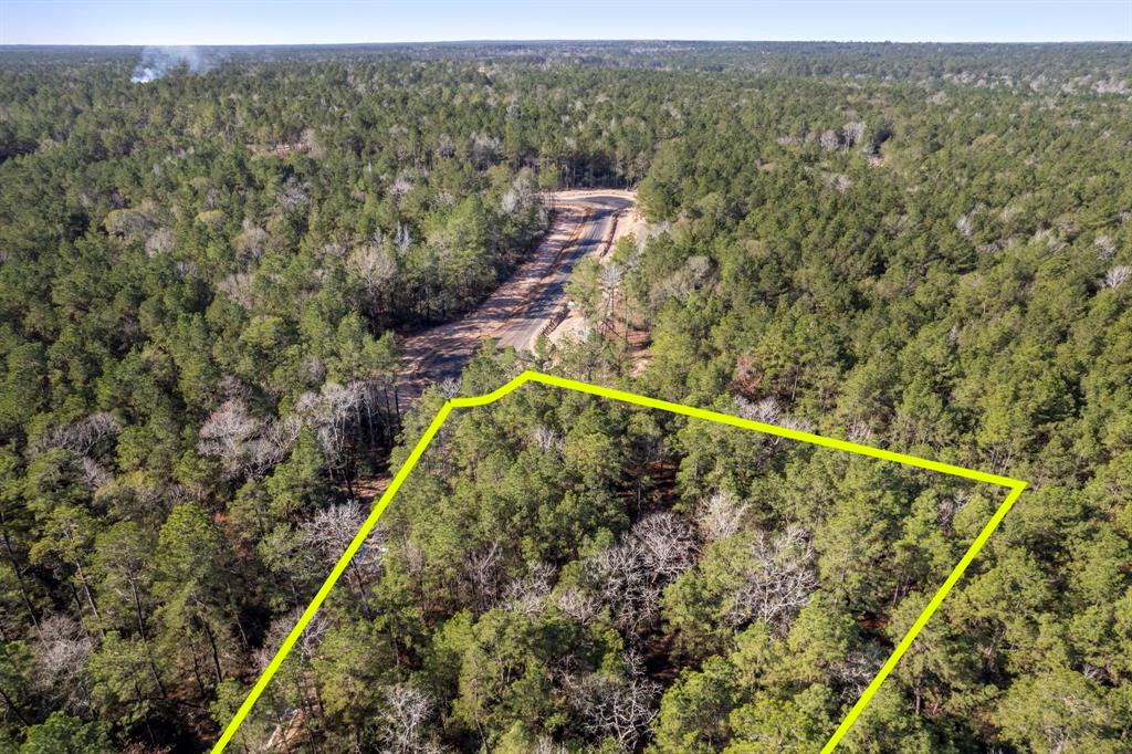 25100 Fort Davis Road, Montgomery, Texas image 7