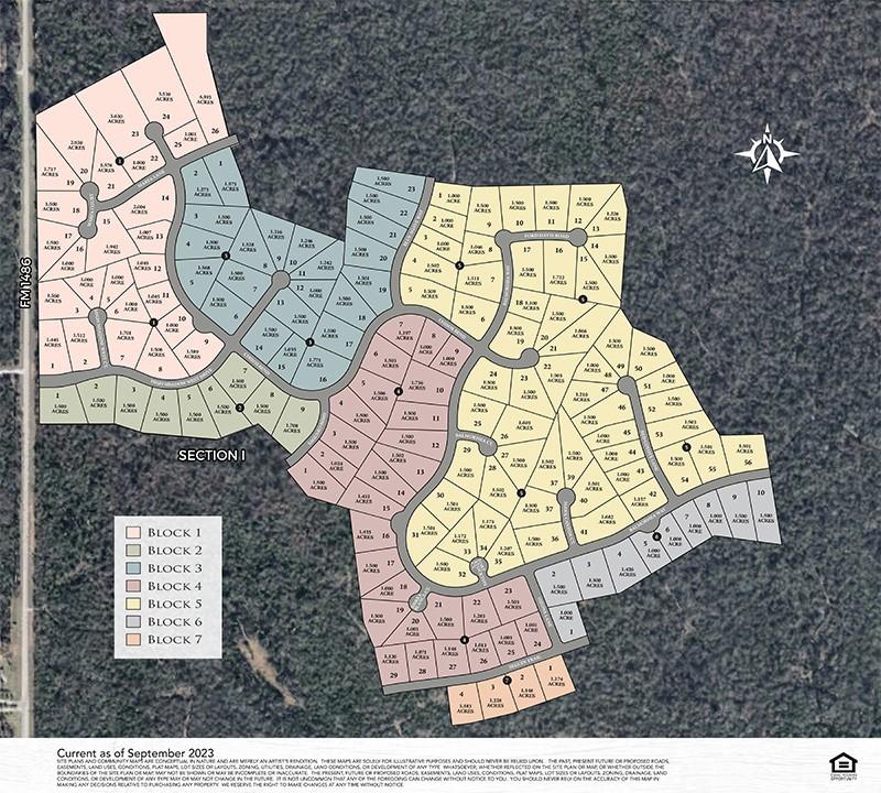 25100 Fort Davis Road, Montgomery, Texas image 19