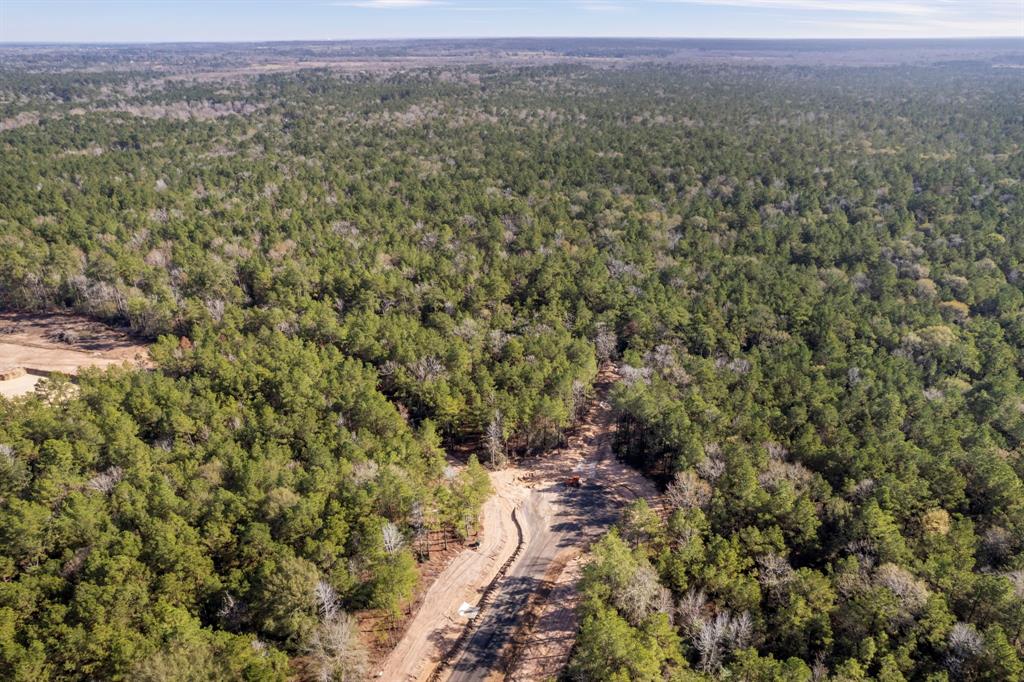 25100 Fort Davis Road, Montgomery, Texas image 13