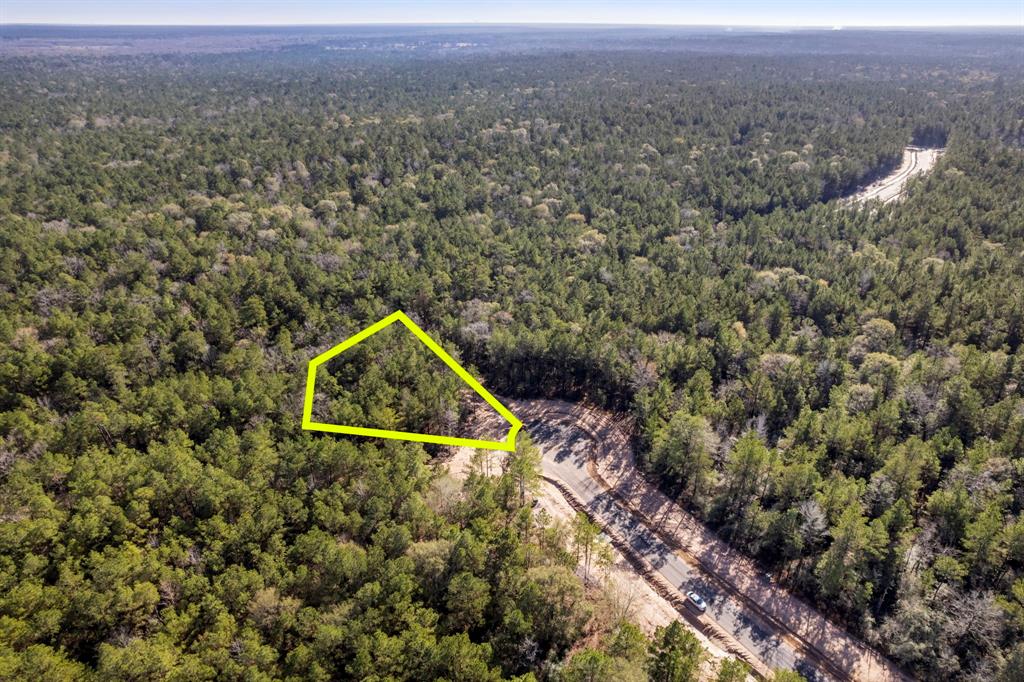 25100 Fort Davis Road, Montgomery, Texas image 12