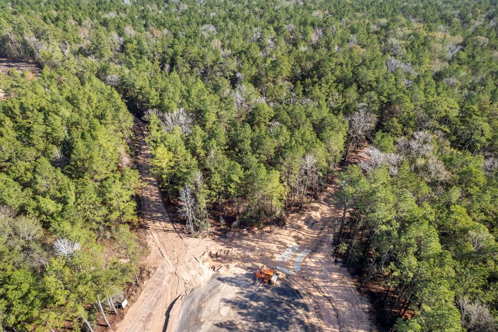 25100 Fort Davis Road, Montgomery, Texas image 16