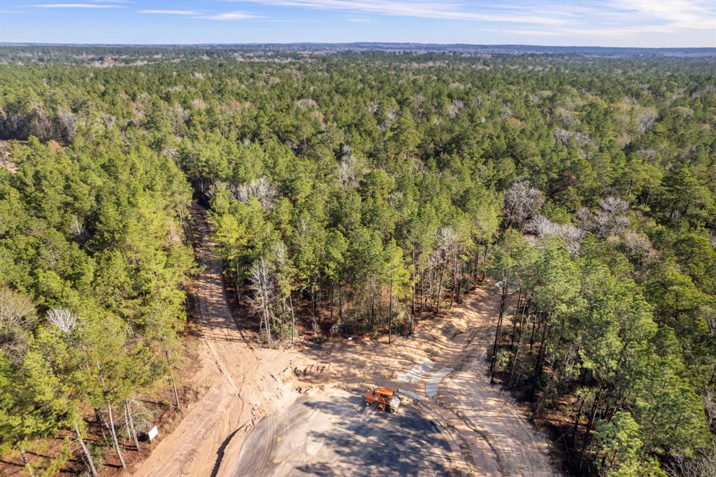 25100 Fort Davis Road, Montgomery, Texas image 3
