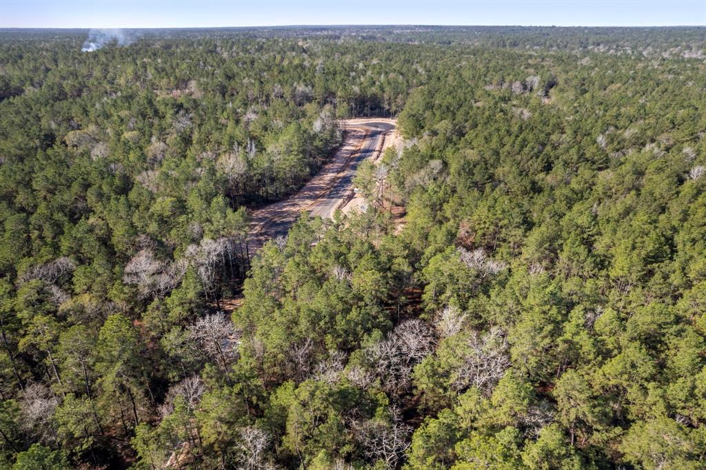 25100 Fort Davis Road, Montgomery, Texas image 6