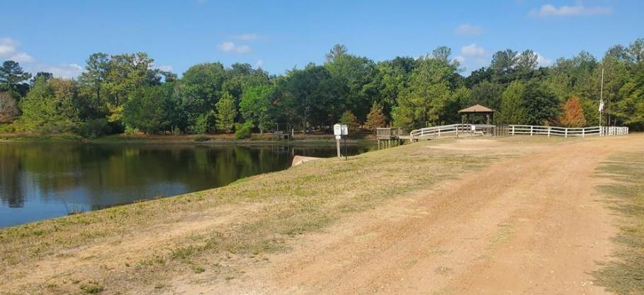 Medicine Man Circle, Hempstead, Texas image 5