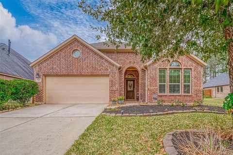182 Climbing Oaks Place Montgomery TX 77316