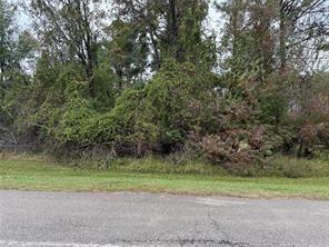 000 Dillon Dr, Magnolia, Texas image 3