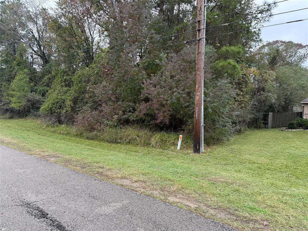 000 Dillon Dr, Magnolia, Texas image 1