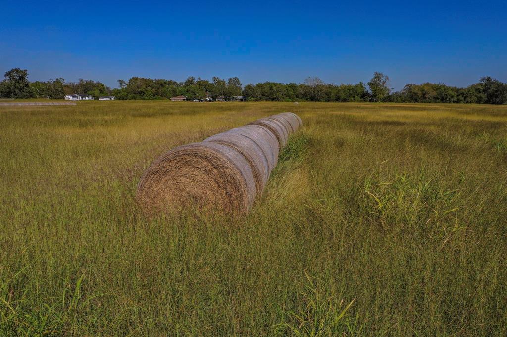 2320 County Road 166 Rd, Wharton, Texas image 10