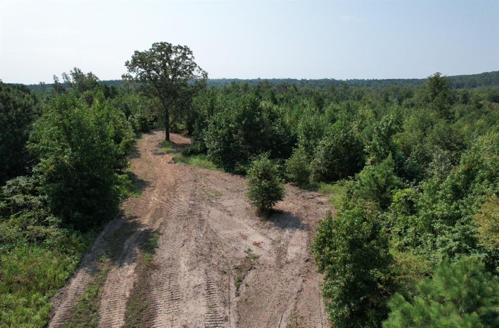 TBD County Road 3163, Laneville, Texas image 9