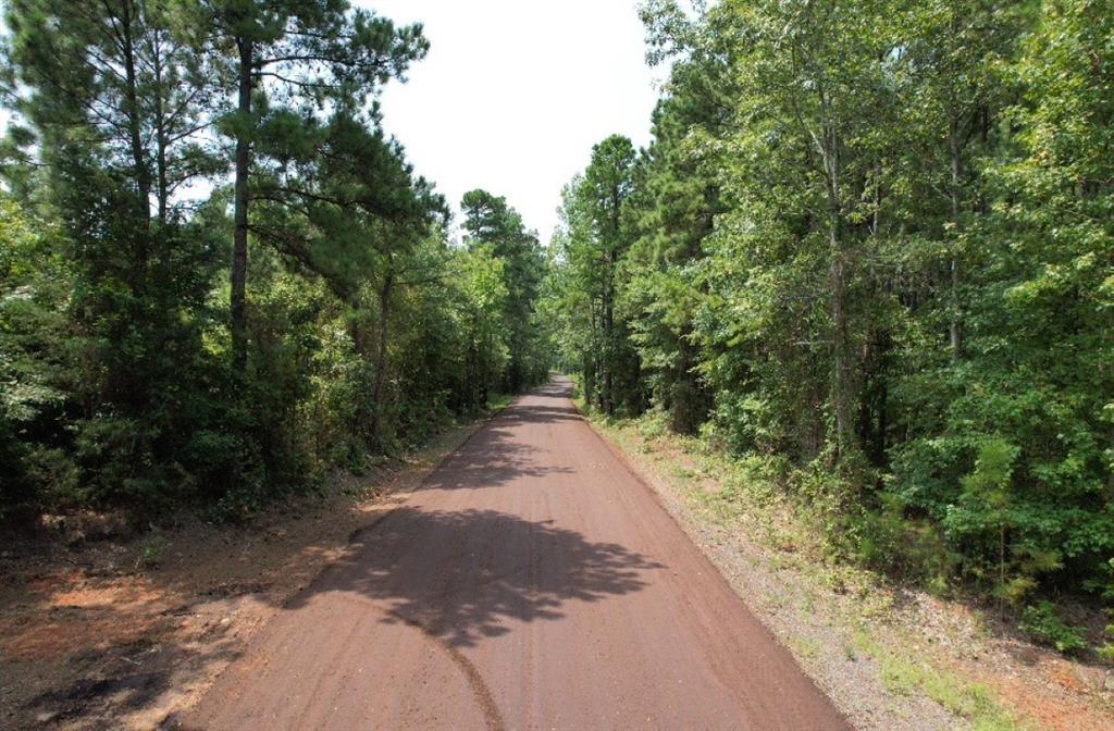 TBD County Road 3163, Laneville, Texas image 32