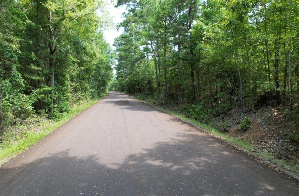 TBD County Road 3163, Laneville, Texas image 36