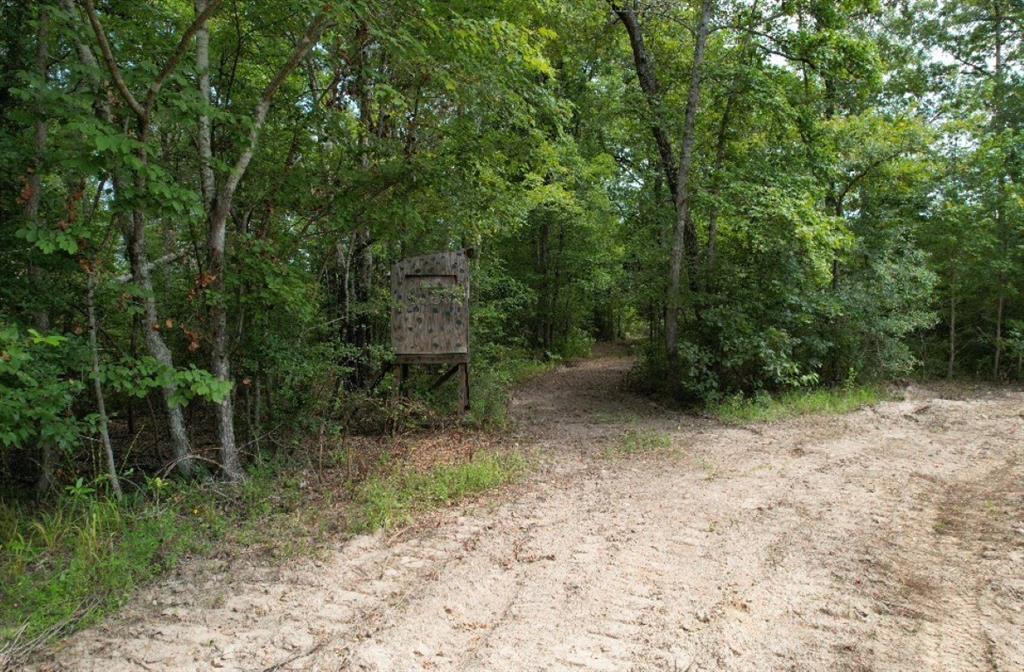 TBD County Road 3163, Laneville, Texas image 24