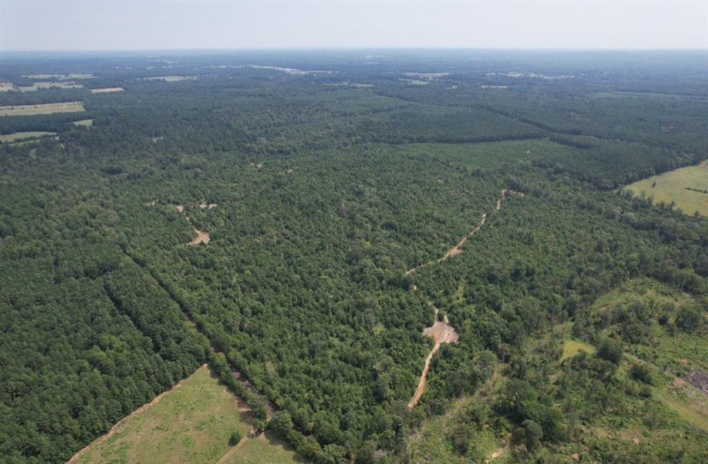 TBD County Road 3163, Laneville, Texas image 29