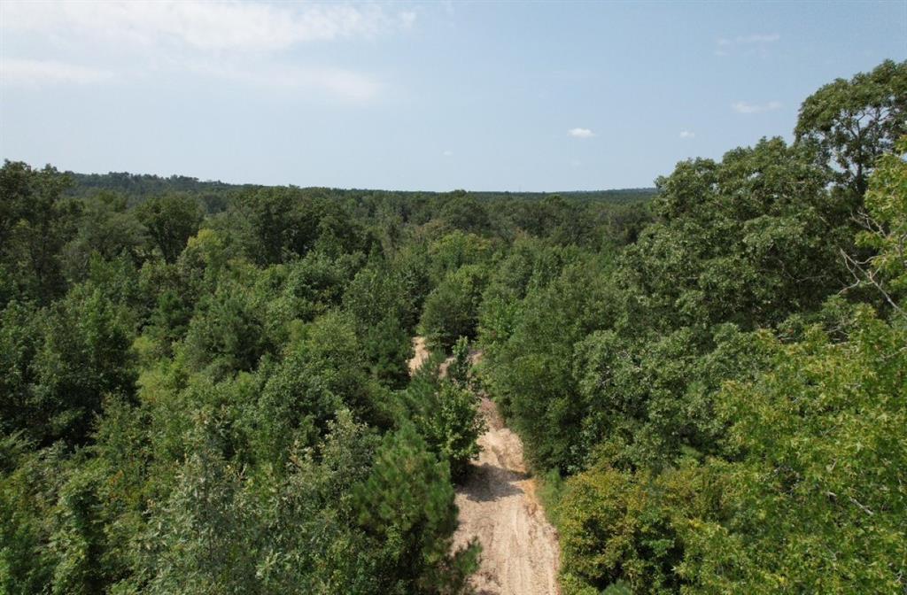 TBD County Road 3163, Laneville, Texas image 31