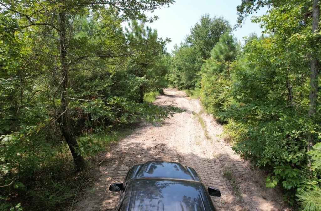 TBD County Road 3163, Laneville, Texas image 30