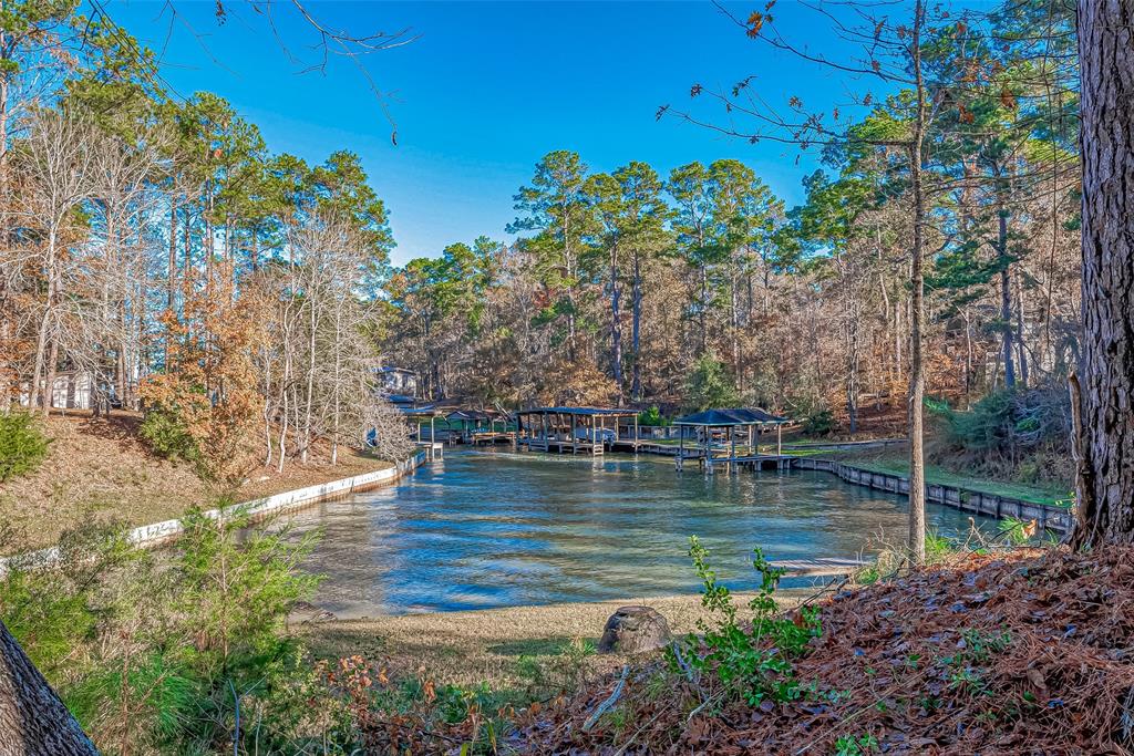 51 Lost Tree Lane, Coldspring, Texas image 44