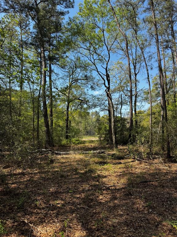 Lot 9 Lantern Lane, Conroe, Texas image 7