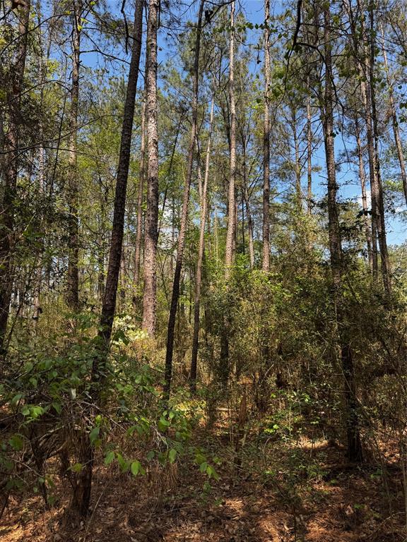 Lot 9 Lantern Lane, Conroe, Texas image 10