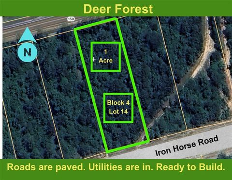 Photo of 194 Iron Horse Road, New Waverly, TX 77358 (MLS # 14709772)