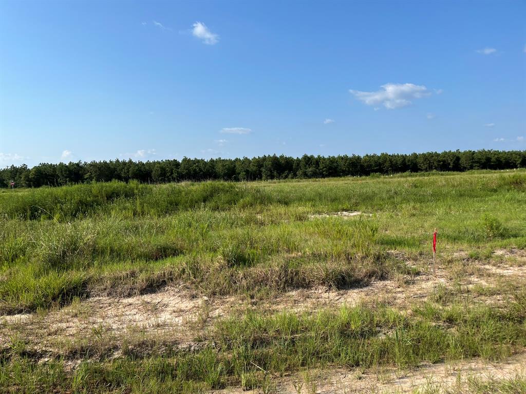 1021 Road 5858, Cleveland, Texas image 2