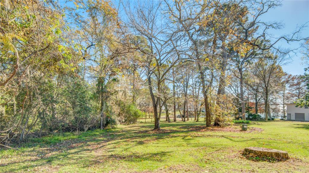 Wildwood Drive, Onalaska, Texas image 8