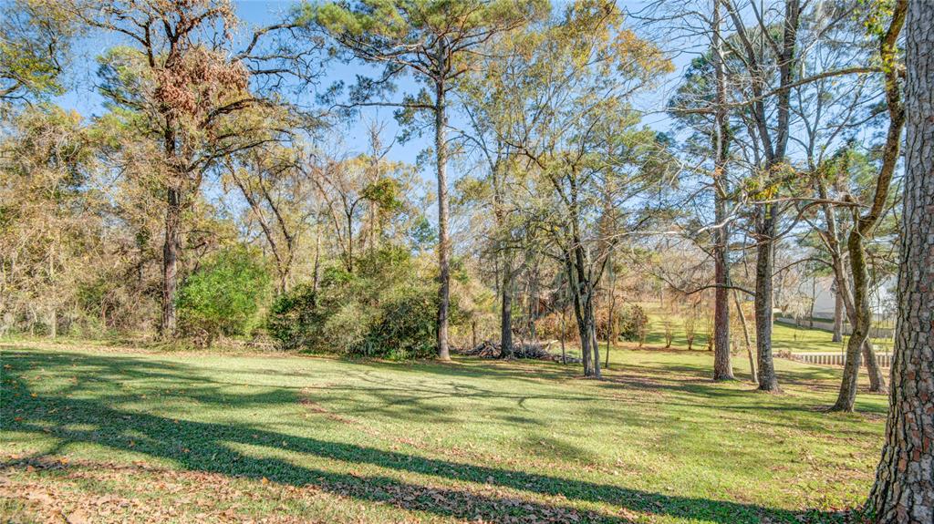 Wildwood Drive, Onalaska, Texas image 7