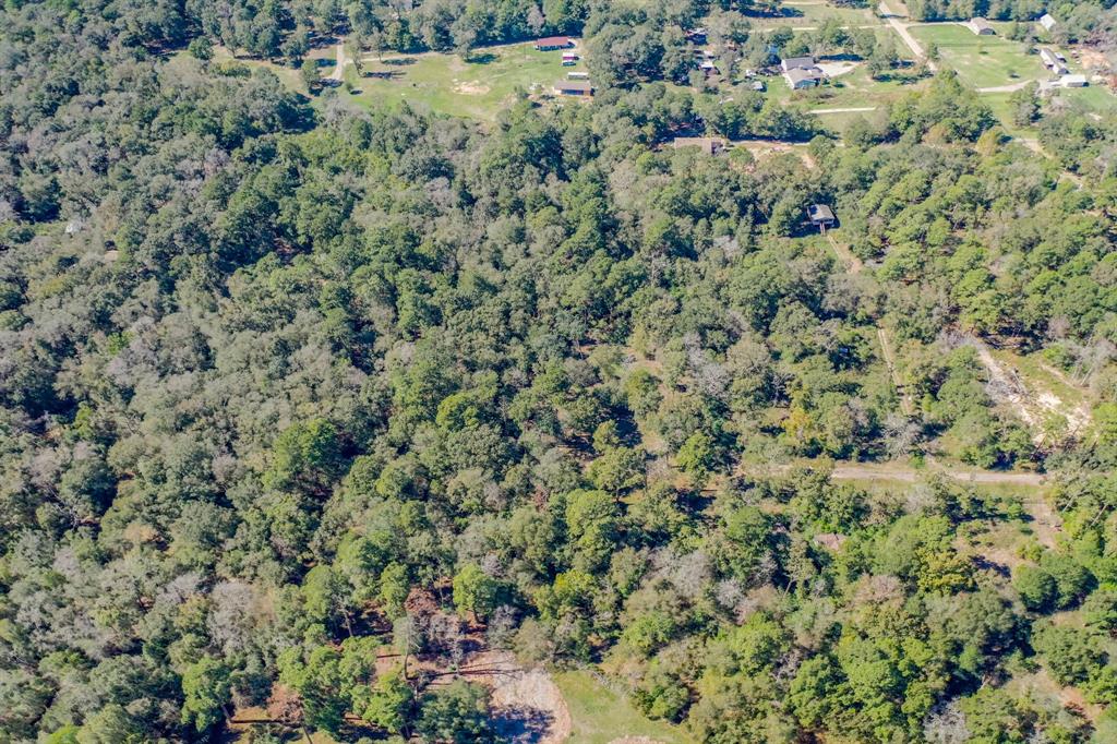 00 Mustang Drive Drive, Splendora, Texas image 6