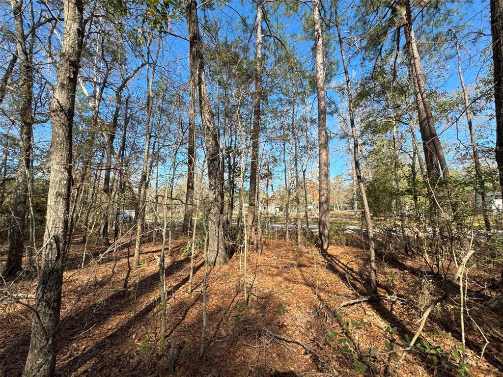 County Road 373, Splendora, Texas image 3