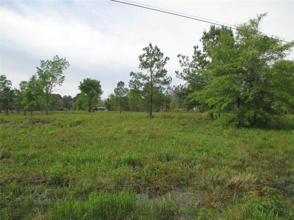 Morelos Road, Baytown, Texas image 2